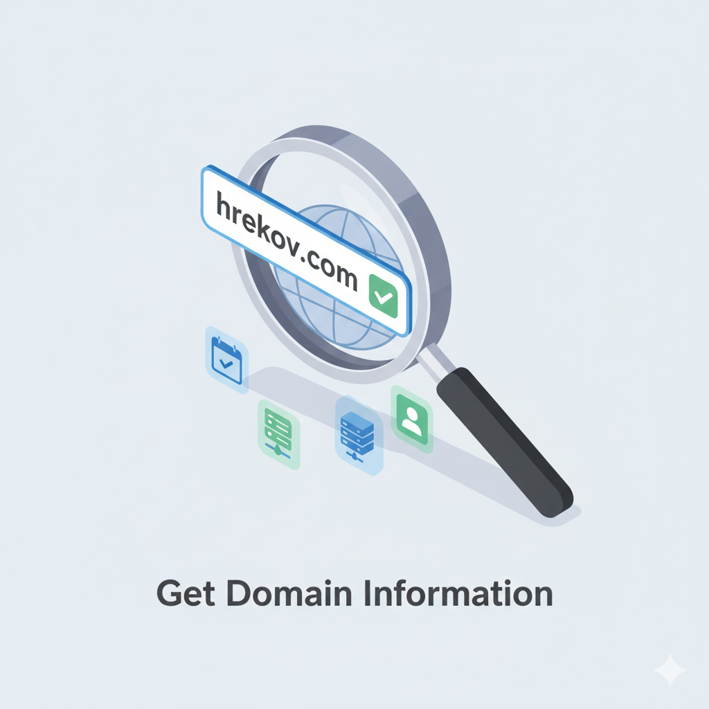 Domain Lookup Tools(WHOIS & DNS Information)